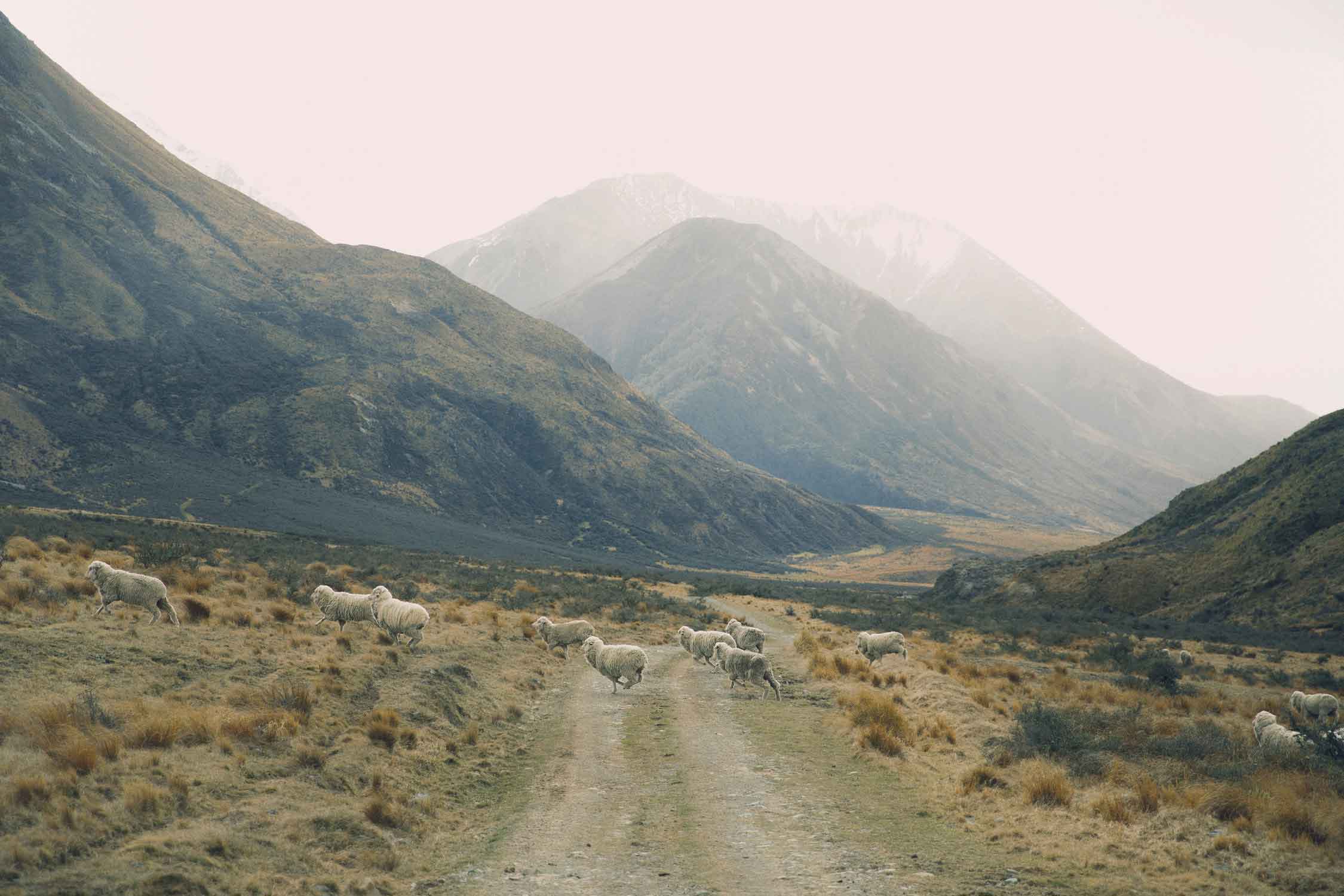 icebreaker sustainable merino wool