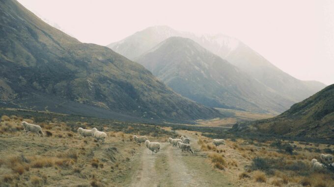 icebreaker laine mérinos responsable