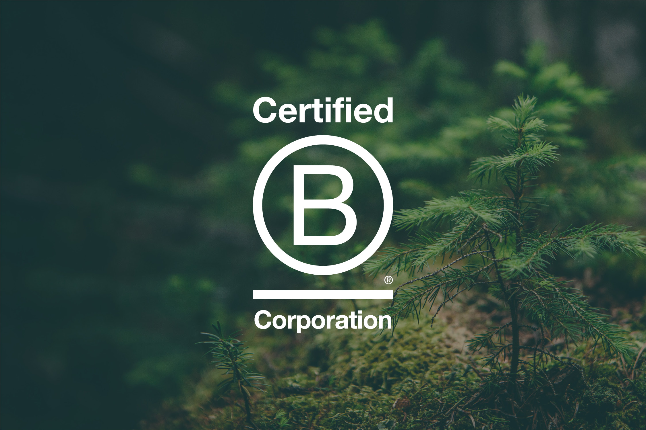 B Corp Certification