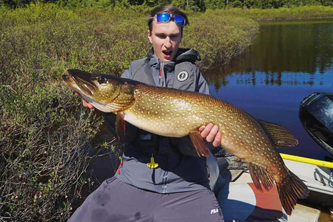 Meilleurs leurres pour Brochet