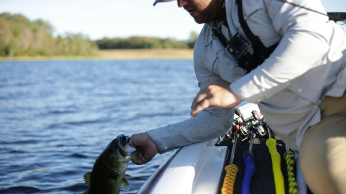 Best-bass-fishing-lures